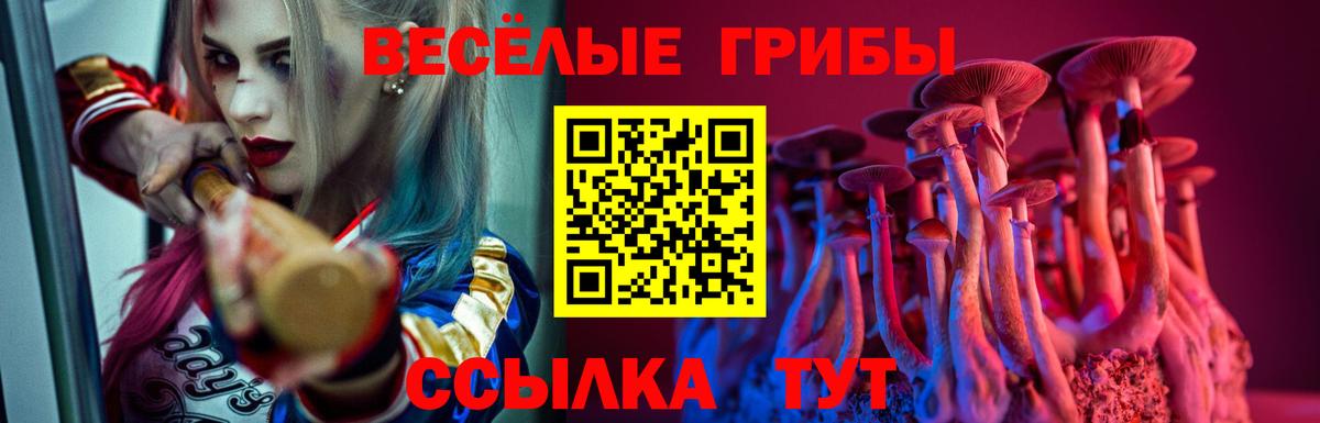 Псилоцибиновые грибы Magic Shrooms Наро-Фоминск